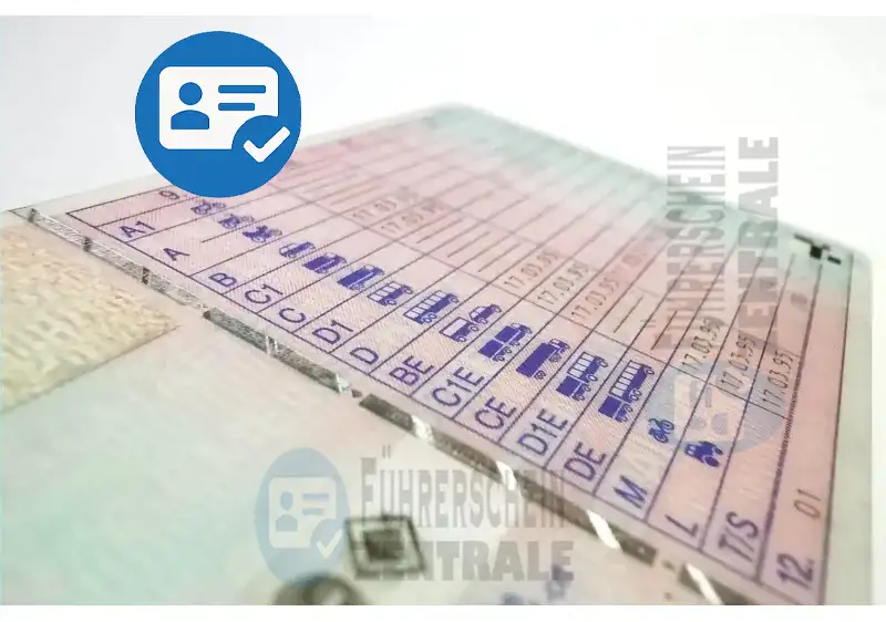 Amtliche Führerschein-Übersetzung in Deutschland: Ihr Wegweiser zum legalen Fahren