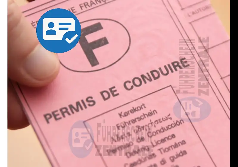 Ausländischen Führerschein umschreiben: Ihr endgültiger Schritt-für-Schritt-Guide für 2025